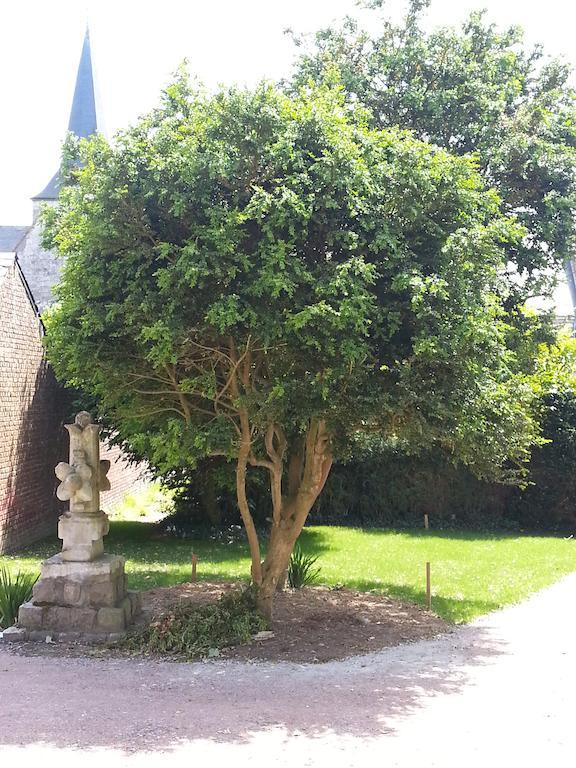 Les Loges D'Etretat Hotel Exterior foto